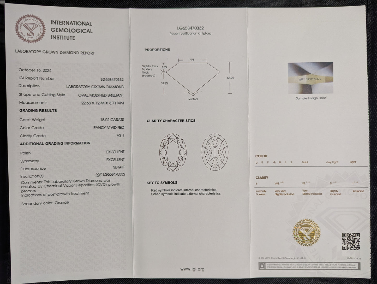 31 cttw Red Diamond, Double Halo Platinum Pendant Necklace, VS1, Lab-Grown